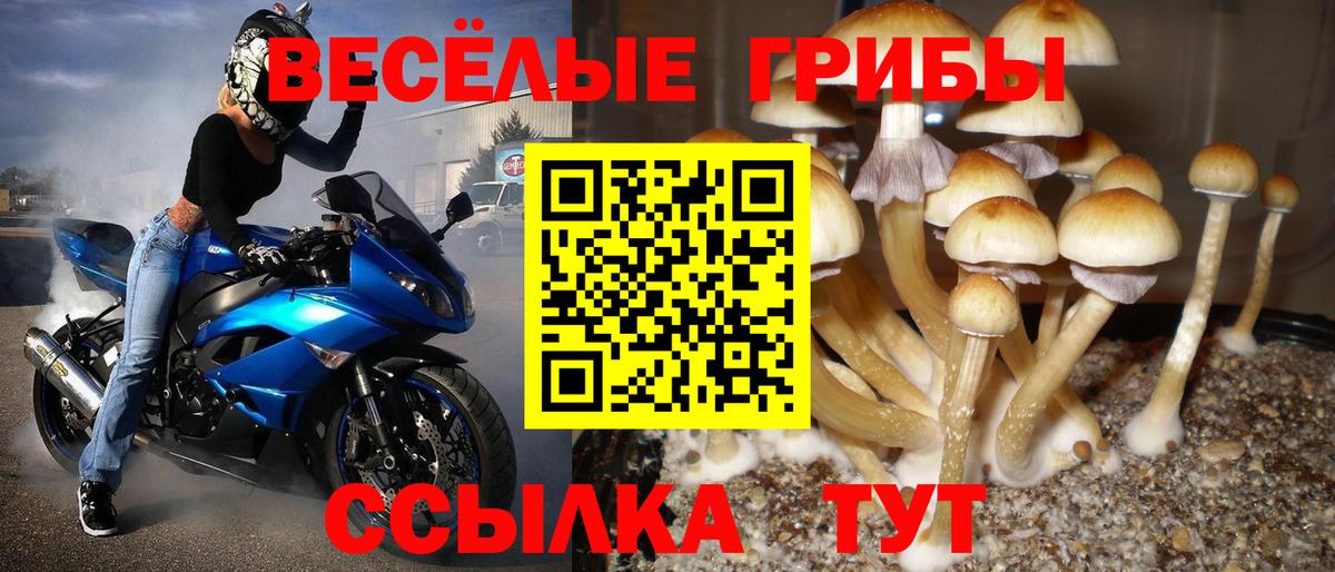 Галлюциногенные грибы Magic Shrooms Зеленодольск